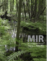 MIR